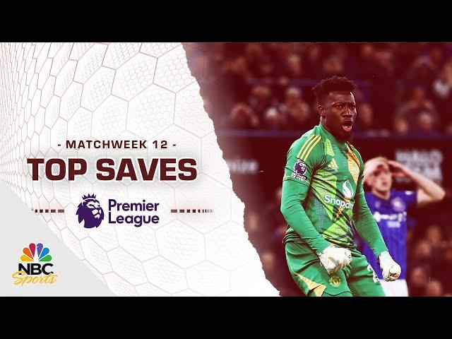 Top Premier League saves from Matchweek 12 (2024-25) | NBC Sports