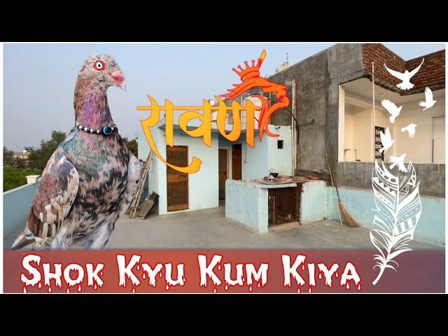 Shok Kum Esliye Kar diya Dekhiye Video | X Fighter Birds