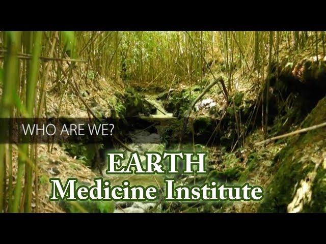 Introduction to Earth Medicine