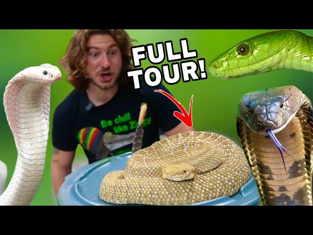 Full VENOMOUS SNAKE Room Tour!