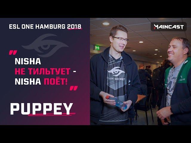 Интервью с Puppey — о ESL One Hamburg 2018, Dendi и жизни вне Dota 2