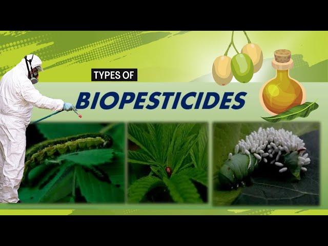 Biopesticides and its Common Types:  A Sustainable Solutions for Modern Agriculture