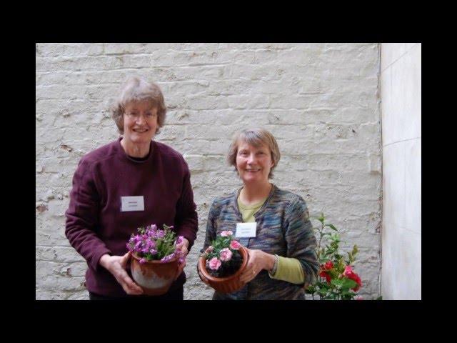 Holst Museum Volunteers favourite rooms and objects at the Museum