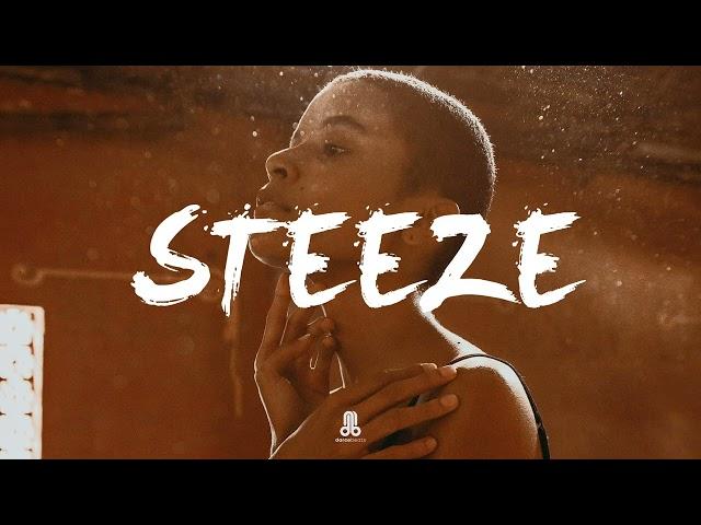 Omah Lay x Burna Boy x Tems x Afrobeat x Afrosoul Type beat 2024 - "STEEZE"