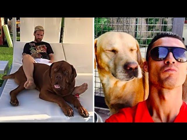 Meet The Football Players Dogs