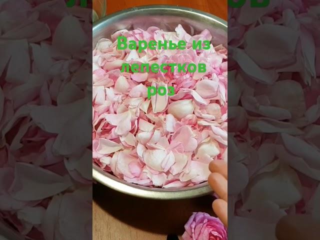 Варенье из чайной розы