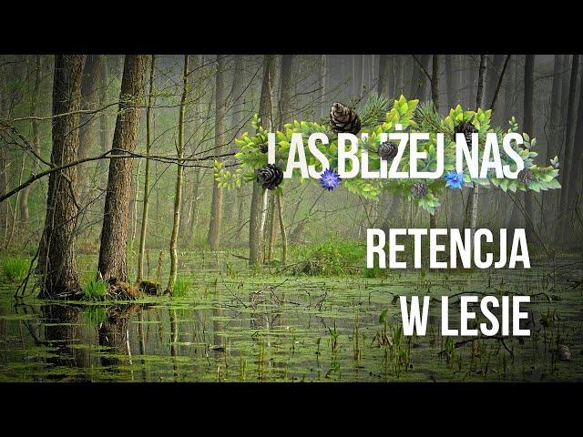 Las bliżej nas - Retencja w lesie