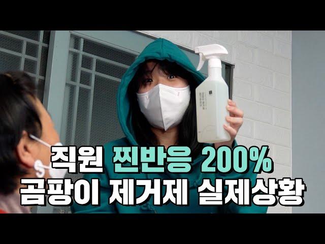 신입사원 200%  찐반응 나왔다! 곰팡이 제거제 실제상황