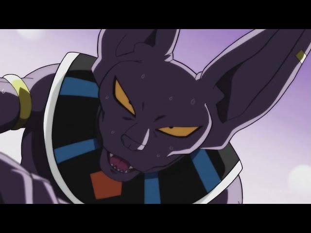 Beerus scared of grand priest(eng dub)