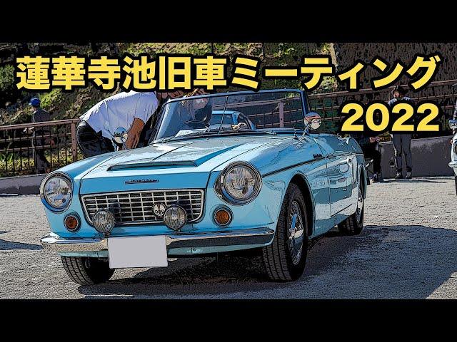 【旧車イベント】蓮華寺池旧車ミーティングにダットサン ブルーバード、フェアレディz、ベレット、グロリア等のクラシックカー、ビンテージカー、オールドタイマーが参加した。