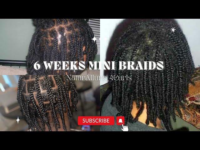 GROW YOUR HAIR FAST WITH MINI BRAIDS IN 6 WEEK!!#new #viral #youtube #hairgrowth #minibraids