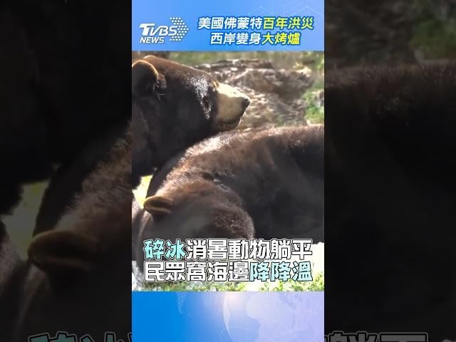 極端氣候慘! 美國佛蒙特百年洪災 西岸變身大烤爐｜TVBS新聞@TVBSNEWS01 #shorts