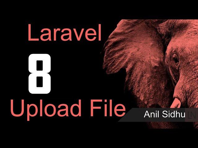 Laravel 8 tutorial - File Upload