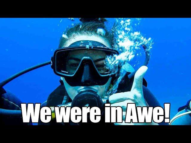 Scuba Diving for the First time Ever in Gili Trawangan! We saw Nemo!