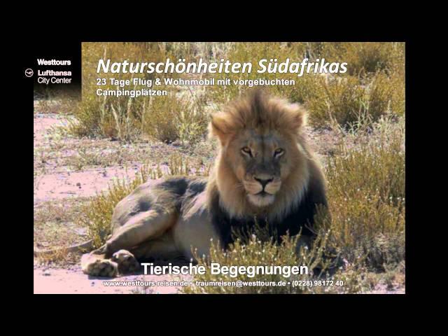 Naturschönheiten Südafrikas