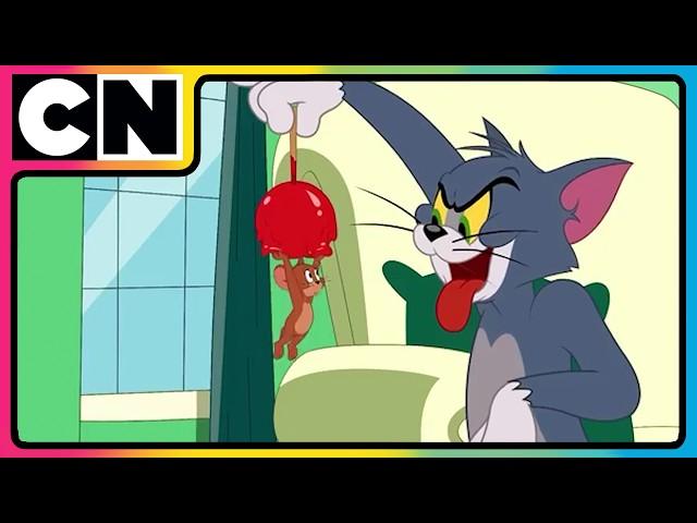 Tom and Jerry | The Battle of Wits Just Got Wilder! | Cartoon Videos  | @cnindia