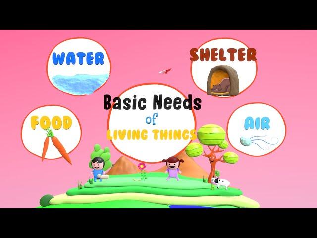 Needs of Living Things | Basic Needs of Living Things | What do Living Things Need?