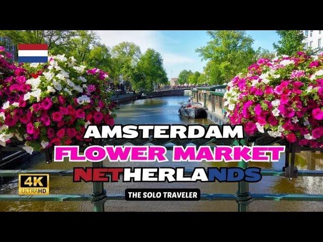 AVOID Missing Flower Market Bloemenmarkt and Canals in Amsterdam . The Netherlands Walking tour