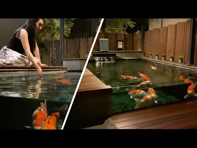 Amazing Koi Villa & Koi Pond Collection **TOUR**