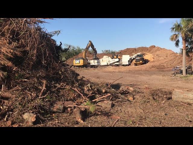 Diamond Z H6000 Horizontal Grinder in the Hurricane Michael Clean Up