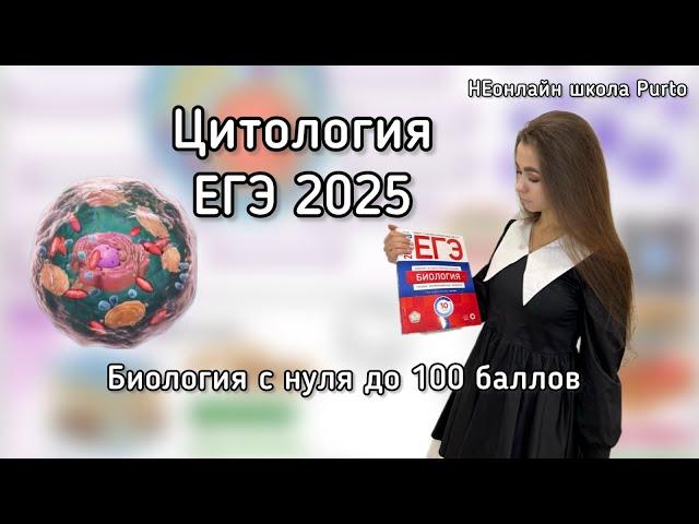 Цитология | Первый вводный урок ЕГЭ 2025 Биология | НЕонлайн школа Purto