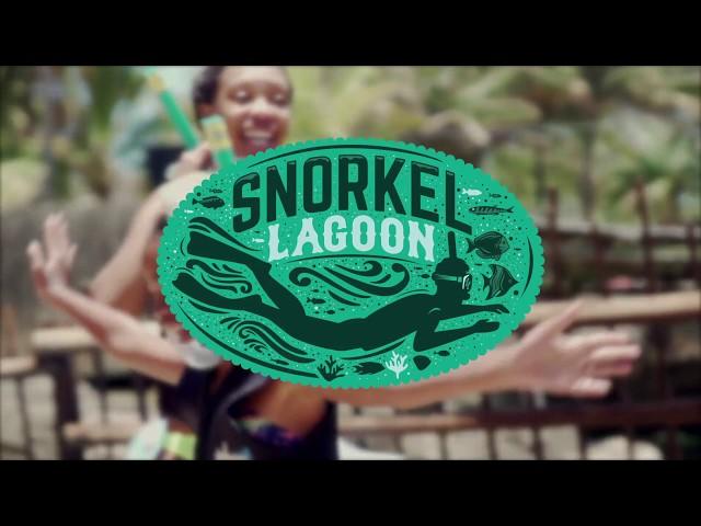 uShaka Snorkeling - Sea Animal Encounters Island