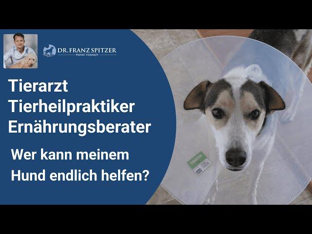 Tierarzt, Tierheilpraktiker, Ernährungsberater - wer kann meinem Hund endlich mal helfen?