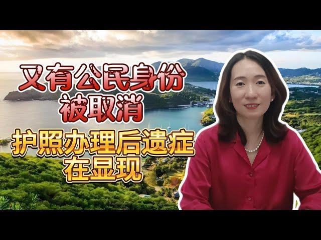 【安提瓜护照】安提瓜护照到底有多好用？满足高净值人士需求 一人申请五代移民 可以免征个人所得税 小国护照界中的黑马【unjnu小飞象移民】加勒比地区投资入籍 圣卢西亚 圣基茨 格林纳达 多米尼克