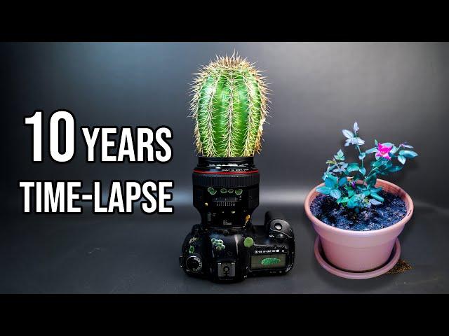 Amazing 10 Years of Plant Growing Time-lapse Compilation