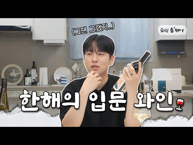 [CC/SUB] 와인 초심자 주목 와인이 처음인데 뭐부터 마셔야 하나요? ㅣ한해의 입문 와인ㅣ[와인 좀 한해]