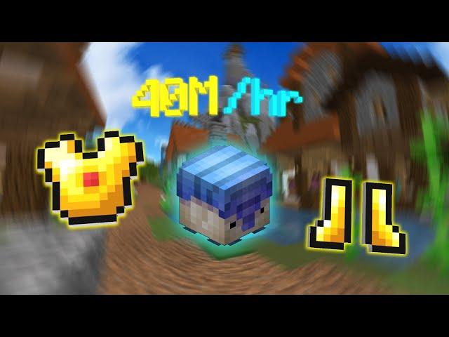 Is this BROKEN MONEY MAKING METHOD really that good? (hypixel skyblock)