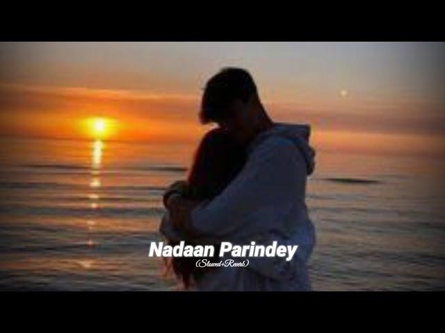 Nadaan Parindey | AR Rahman | (Slowed+Reverb) | Lofi song