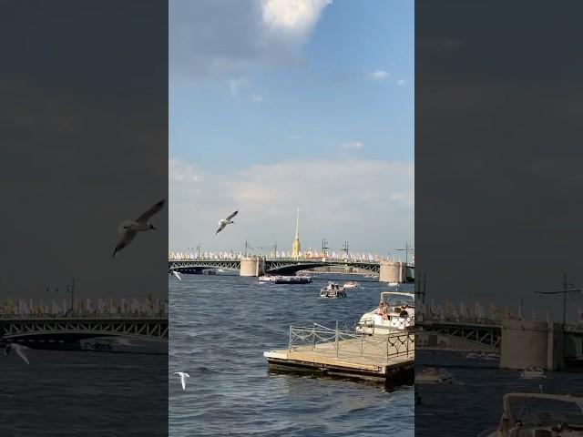 Мой маленький северный рай  #санктпетербург #spb #дворцовыймост #кудапойтиспб #кудапитер