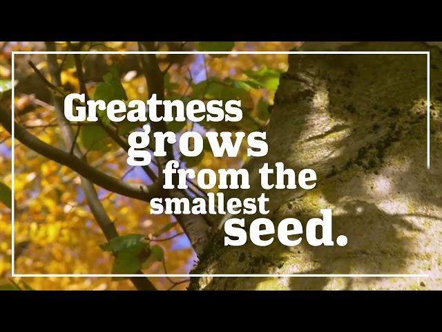 Mount Saint Vincent University | Greatness Grows