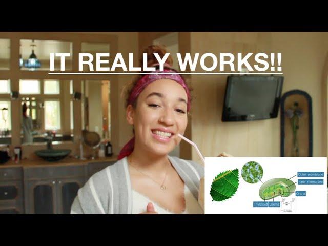 Drinking Liquid Chlorophyll Changed My Life!!! | AriannaIndia