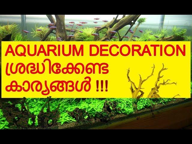 Aquarium Decoration  | Vivek Parayil | Parayil Aqua