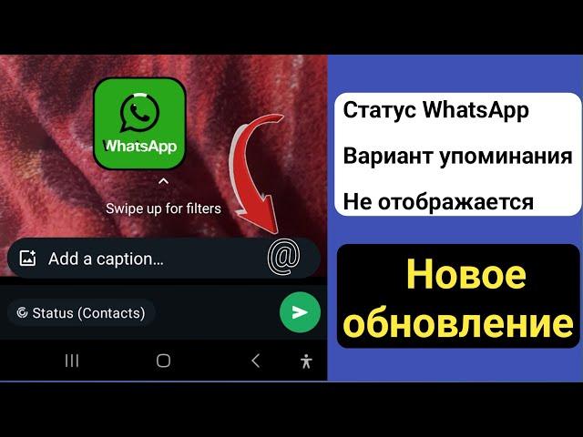 Функция упоминания статуса WhatsApp не отображается 2024 ll