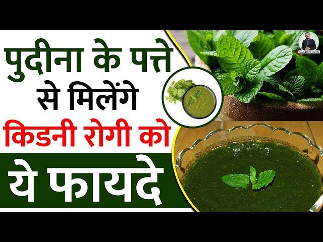 किडनी रोगी को पुदीना से मिलने वाले फायदे - Mint benefits for kidney Patients | Dr Puneet Dhawan 2021