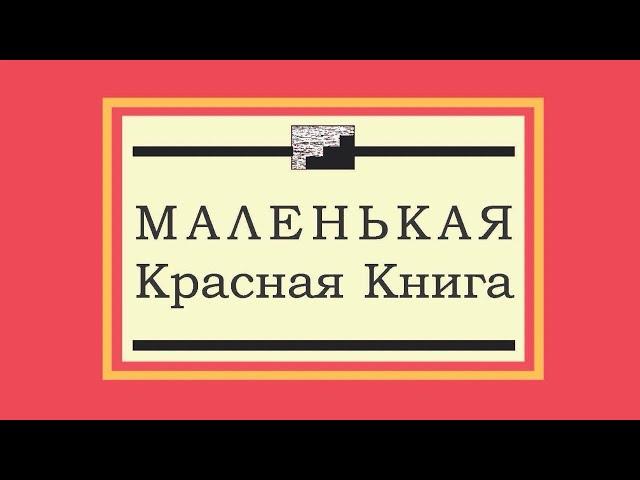 Спонсорство вдвоём: Секреты успеха в АА