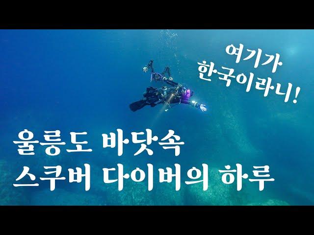 한국에서 제일 예쁜 바다에 스쿠버 다이빙을 하러 가면 이런 하루를 보내게 됩니다  울릉도 다이빙 브이로그 1탄 (죽도4번, 관음쌍굴) with 다이브플로우