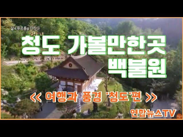 청도 가볼만한곳 백불원, 여행과풍경 연합뉴스TV