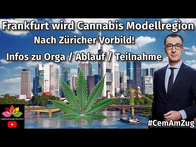 Frankfurt a.M. wird Cannabis Säule 2 Modellregion / Vorbild Züricher Modell / Infos zu Ablauf & Orga