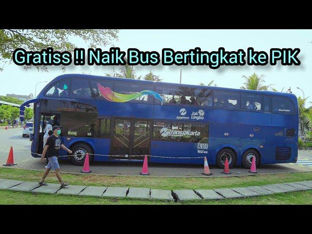 GRATIS !! NAIK BUS TRANSJAKARTA BERTINGKAT WISATA KE PANTAI MAJU PIK