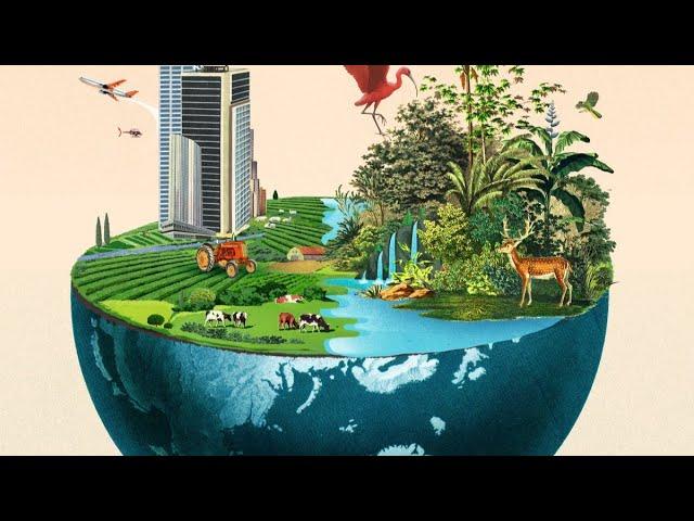 Climate Change And Biodiversity