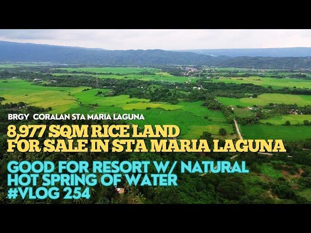 #vlog254 RICE LAND FOR SALE WITH NATURAL HOT SPRING OF WATER GOOD FOR HOT SPRING RESORT - 8,977 SQM