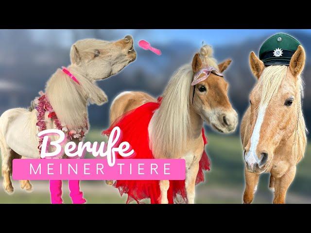 BERUFE meiner TIERE 