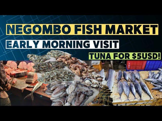 Negombo Fish Market - Early morning visit - Nov 2022 - TUNA for 5USD!