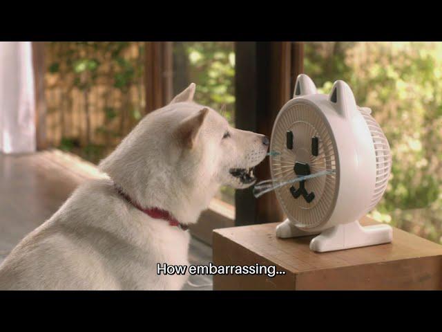 White Family SoftBank Dog CM #132. "Conserving Electricity" Japanese Commercial [ENG SUB]