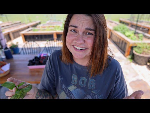 Growing BASIL 101 | Herb Gardening Tips and Tricks