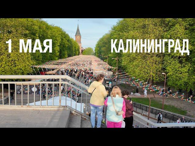 1 мая Калининград праздник весны и труда. Открытие фонтанов. Город кипит от туристов